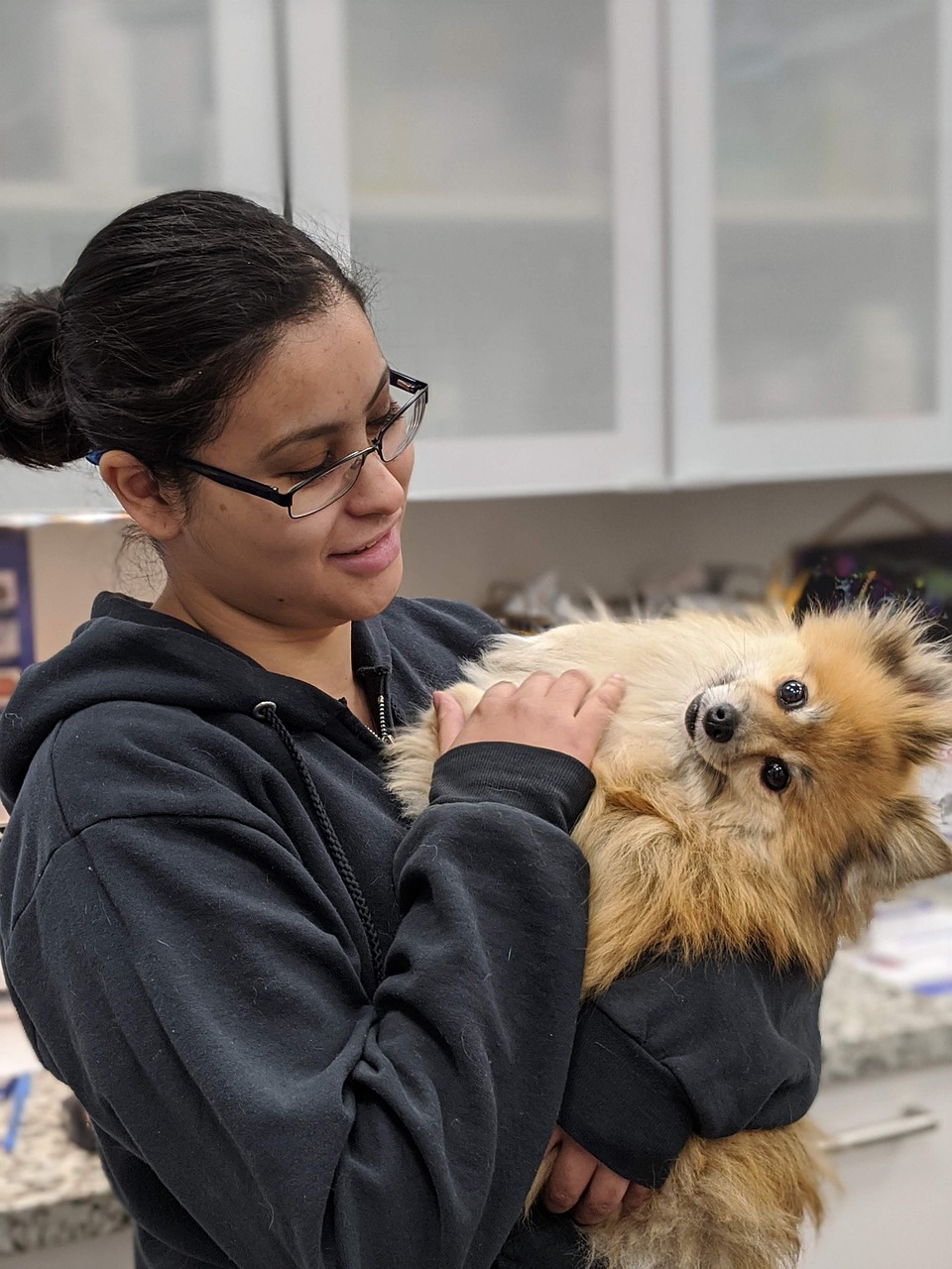 veterinarian comforting a dog