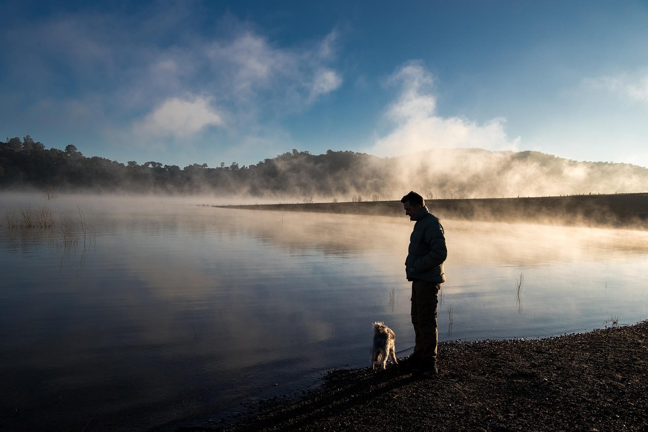veterinarian with a calm dog